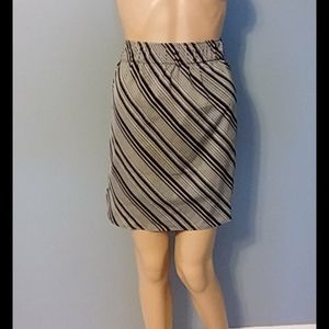 Ann Taylor Skirt